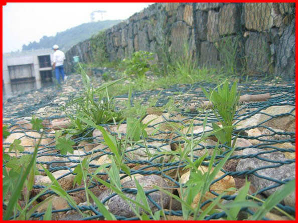 河道石籠網(wǎng)